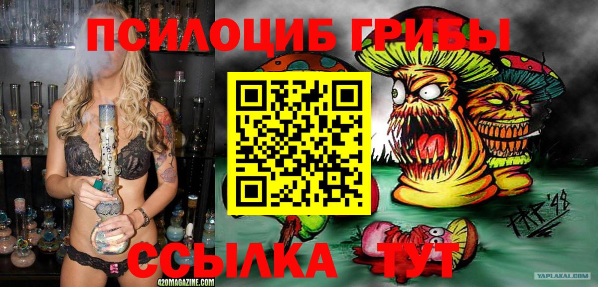 Псилоцибиновые грибы мицелий Барабинск